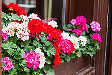 国产竞速游戏《全速以赴》先行预告 以天津为原型